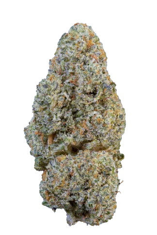 Snowing dam CBD ultra haute qualité hermosa Snowing dam CBD ultra haute qualité hermosa