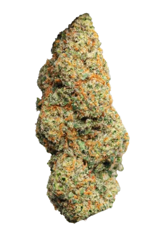bubble cheese