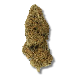 lemon cherry (1) lemon cherry (1)