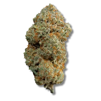 magic squeezy v2 magic squeezy v2