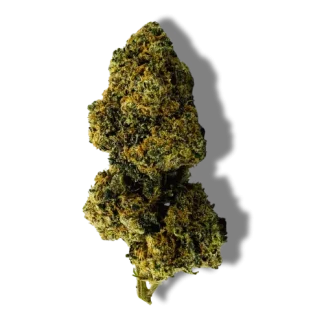 magic tropical dream cbd puissant hermosa magic tropical dream cbd puissant hermosa