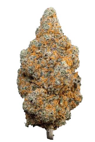orange magic (1)