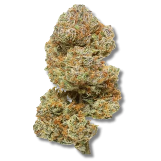 skywalker hybrid (1) skywalker hybrid (1)