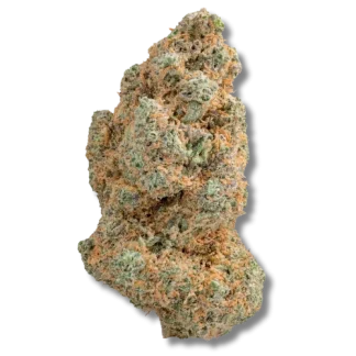 tinky winky (1) tinky winky (1)